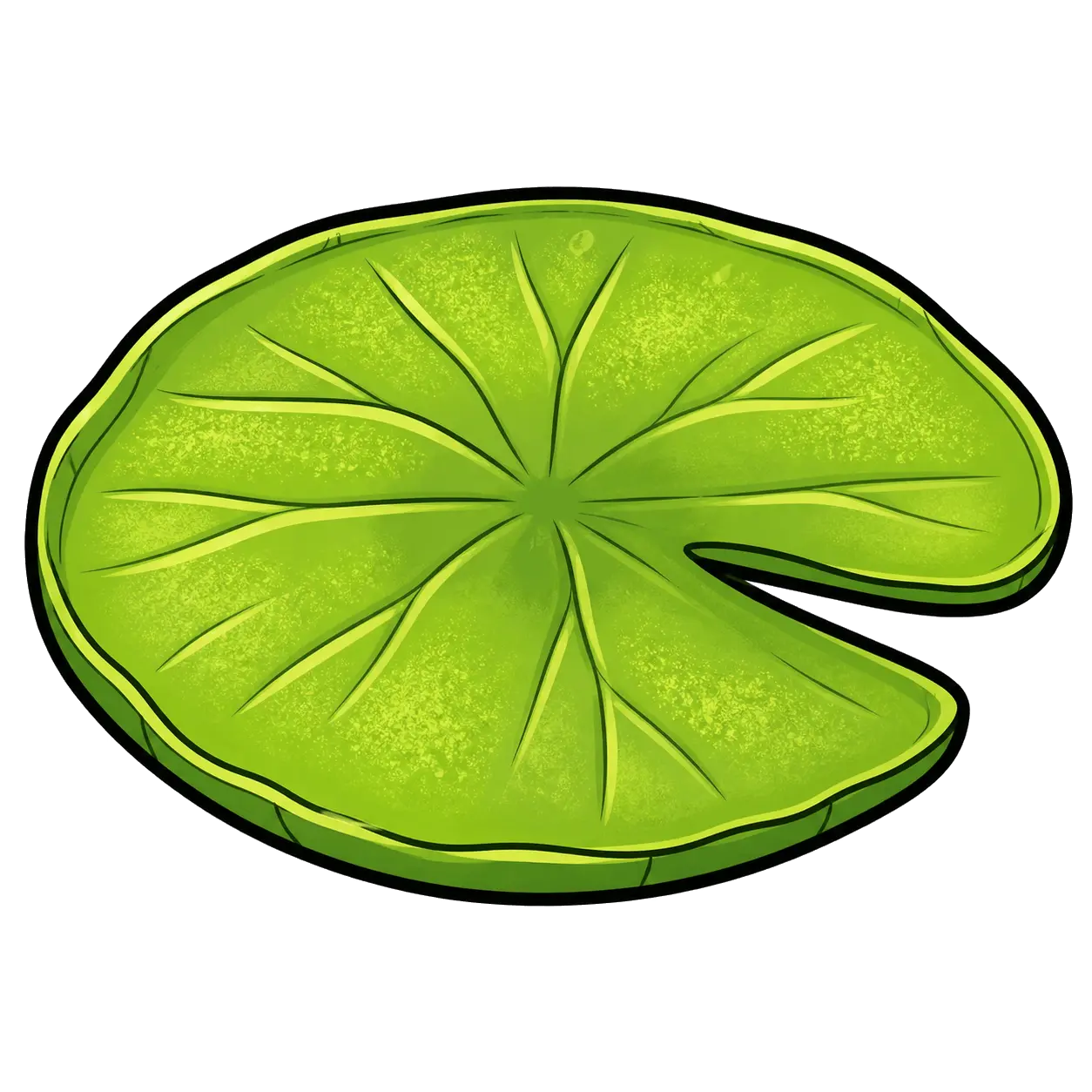 Center lily pad